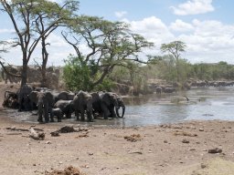 Western_Corridor2009-21